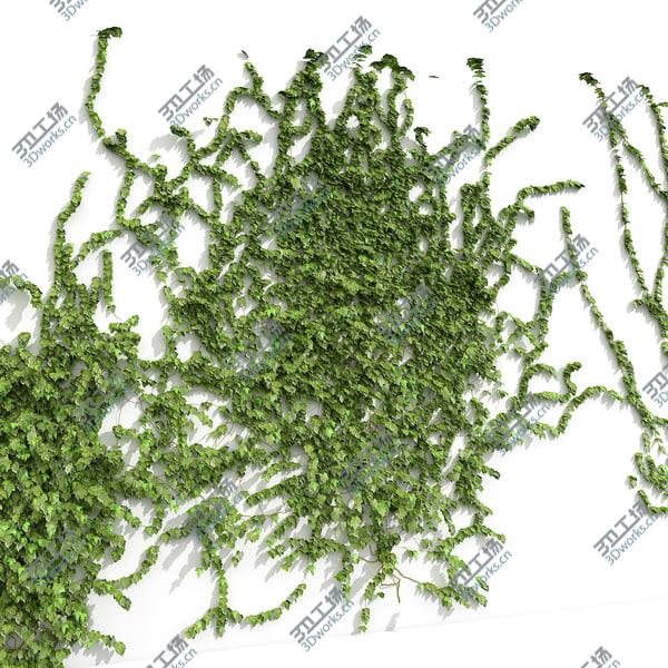 images/goods_img/20210312/Green Ivy Plant Collection On Wall/2.jpg